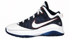 LeBron VII Post Season