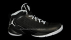Fly Wade II