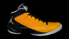 Fly Wade II