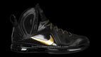 LeBron 9 Elite