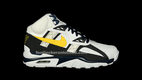 Air Trainer SC 