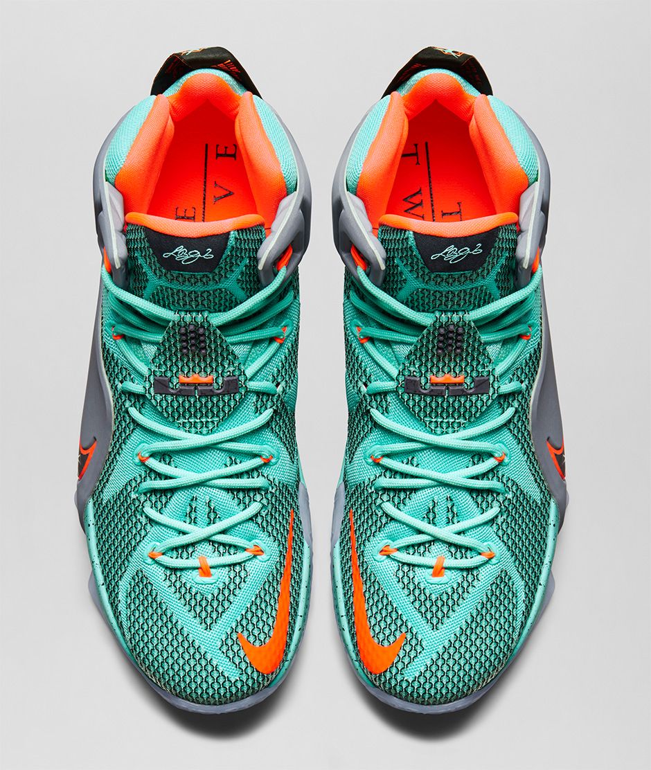fake lebron 12