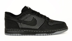 Big Nike Low LE