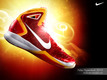 Nike Hyperdunk 2010